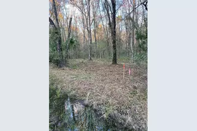 10450 Weatherby Avenue, Hastings, FL 32145 - Photo 2