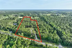 4343 W State Hwy 100, Bunnell, FL 32110 - Photo 62