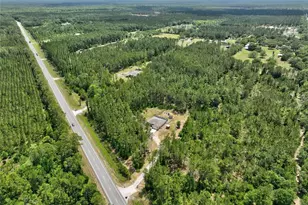 4343 W State Hwy 100, Bunnell, FL 32110 - Photo 72