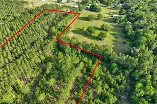 4343 W State Hwy 100, Bunnell, FL 32110 - Photo 56