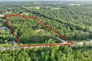 4343 W State Hwy 100, Bunnell, FL 32110 - Photo 54