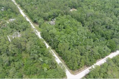 1823 Honeytree Street, Bunnell, FL 32110 - Photo 4