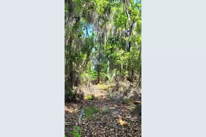 21779 NE 115th Avenue, Earleton, FL 32631 - Photo 12
