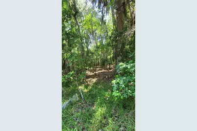 21779 NE 115th Avenue, Earleton, FL 32631 - Photo 2