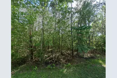 21779 NE 115th Avenue, Earleton, FL 32631 - Photo 4