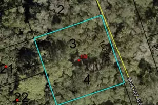 132 Sanchez Ave, Palm Coast, FL 32137 - Photo 1