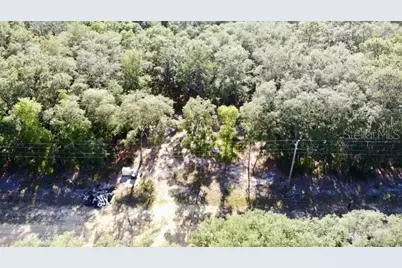 1107 Usina Avenue, Interlachen, FL 32148 - Photo 12