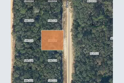 1107 Usina Avenue, Interlachen, FL 32148 - Photo 2