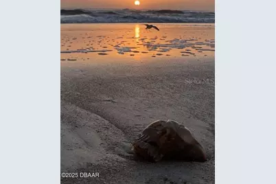 3000 Ocean Shore Boulevard #150, Ormond Beach, FL 32176 - Photo 58