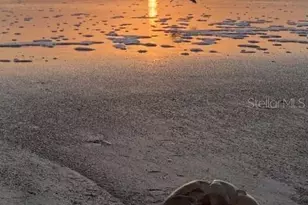 3000 Ocean Shore Blvd, Ormond Beach, FL 32176 - Photo 58