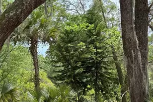 486 S US Hwy 1, Oak Hill, FL 32759 - Photo 30