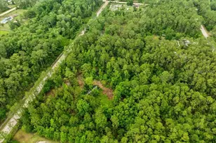 1756 Hazelnut St, Bunnell, FL 32110 - Photo 6