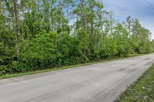 1756 Hazelnut St, Bunnell, FL 32110 - Photo 8