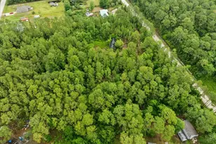 1756 Hazelnut St, Bunnell, FL 32110 - Photo 4