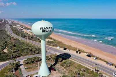 4 Buffalo Plains Lane, Palm Coast, FL 32137 - Photo 16