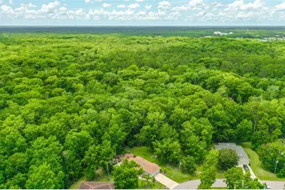 9 Zeolite Place, Palm Coast, FL 32164 - Photo 8