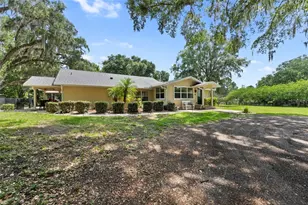 21375 NW 150th Ave Rd, Micanopy, FL 32667 - Photo 24
