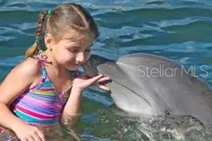 265 Ocean Palm Dr, Flagler Beach, FL 32136 - Photo 28