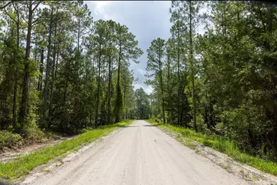 5661 Ironwood Avenue, Bunnell, FL 32110 - Photo 4