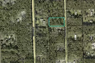 1230 Honeytree St, Bunnell, FL 32110 - Photo 1