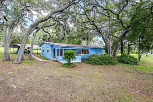 104 Carter Whittaker Ln, Pomona Park, FL 32181 - Photo 6