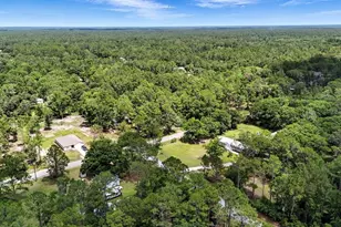 4705 Inez St, Hastings, FL 32145 - Photo 66