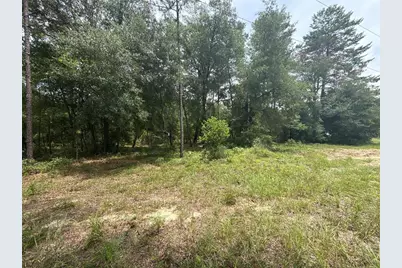 140 Cherokee Drive, Interlachen, FL 32148 - Photo 6