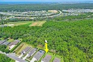 2983 Monaghan Dr, Ormond Beach, FL 32174 - Photo 54