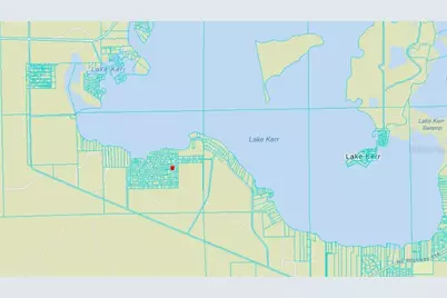 Ne 134 Pl, Salt Springs, FL 32134 - Photo 4