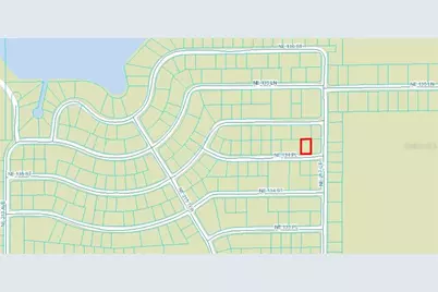 Ne 134 Pl, Salt Springs, FL 32134 - Photo 2