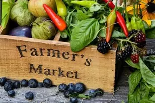 7 Zenger Ct, Palm Coast, FL 32164 - Photo 32