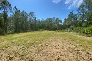 1836 Hickory St, Bunnell, FL 32110 - Photo 14