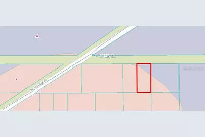 X SE 152nd St, Umatilla, FL 32784 - Photo 4