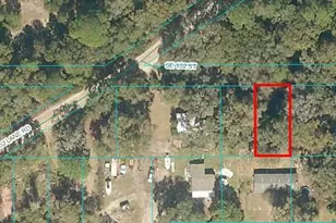 X SE 152nd St, Umatilla, FL 32784 - Photo 1
