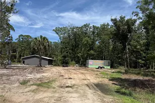 4795 Alvin St, Hastings, FL 32145 - Photo 1