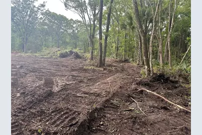 4795 Alvin Street, Hastings, FL 32145 - Photo 10