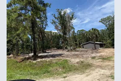 4795 Alvin Street, Hastings, FL 32145 - Photo 6