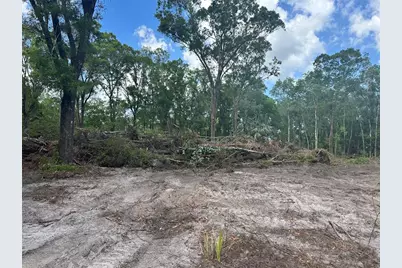 4795 Alvin Street, Hastings, FL 32145 - Photo 14