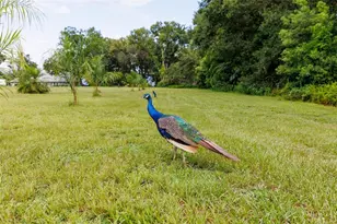 535 S Prospect St, Crescent City, FL 32112 - Photo 76