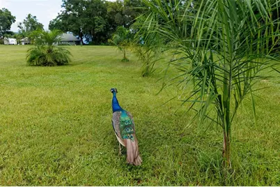 535 S Prospect Street, Crescent City, FL 32112 - Photo 78