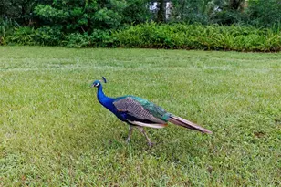 535 S Prospect St, Crescent City, FL 32112 - Photo 80