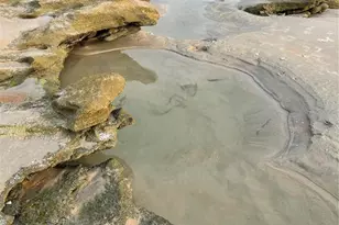 11 Beachside Dr, Palm Coast, FL 32137 - Photo 52