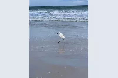 2601 S Peninsula Drive, Daytona Beach, FL 32118 - Photo 34