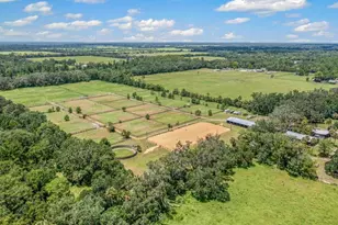 5210 Co Rd 305, Bunnell, FL 32110 - Photo 78