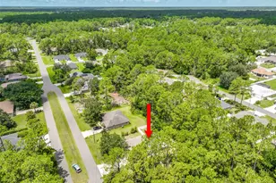 57 Sleepy Hollow Trail, Palm Coast, FL 32164 - Photo 40