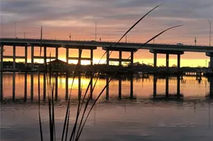 52 Big Buck Trail, Ormond Beach, FL 32174 - Photo 46