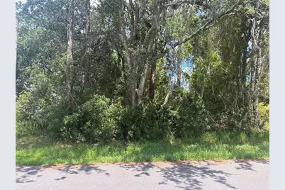 24 Zinnia Trail, Palm Coast, FL 32164 - Photo 1