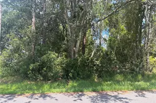 24 Zinnia Trail, Palm Coast, FL 32164 - Photo 1