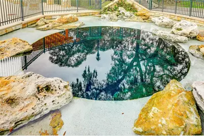 316 S Cypress Avenue, Green Cove Springs, FL 32043 - Photo 40