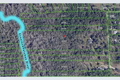 802 Hamilton Drive, Orlando, FL 32833 - Photo 4